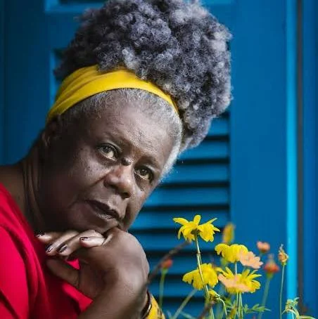 Imagem de Conceição Evaristo vai abrir casa de 'escrevivência', trabalha em quatro livros e planeja obra com Valter Hugo Mãe