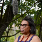“Pedro Além do Alcântara” está ganhando vida